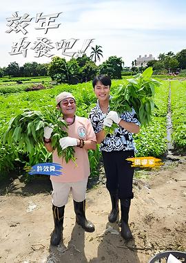别再被艾灸万能欺骗了欧美国产AV 在线